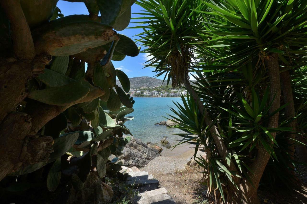 Villa Portomare Pórto Ráfti Dış mekan fotoğraf
